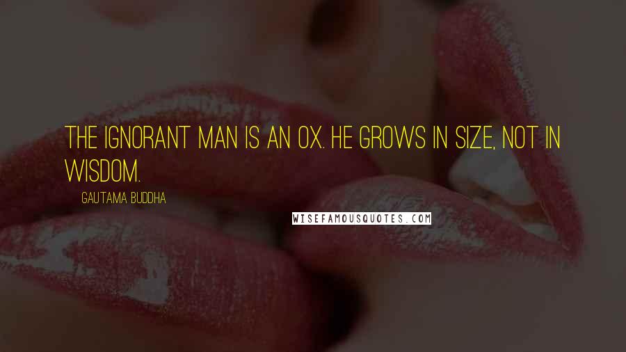 Gautama Buddha Quotes: The ignorant man is an ox. He grows in size, not in wisdom.