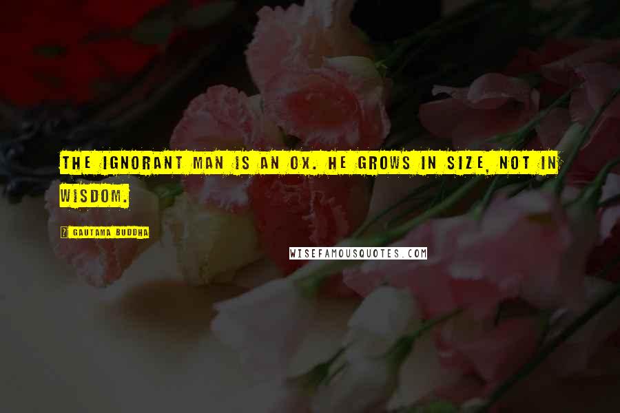 Gautama Buddha Quotes: The ignorant man is an ox. He grows in size, not in wisdom.
