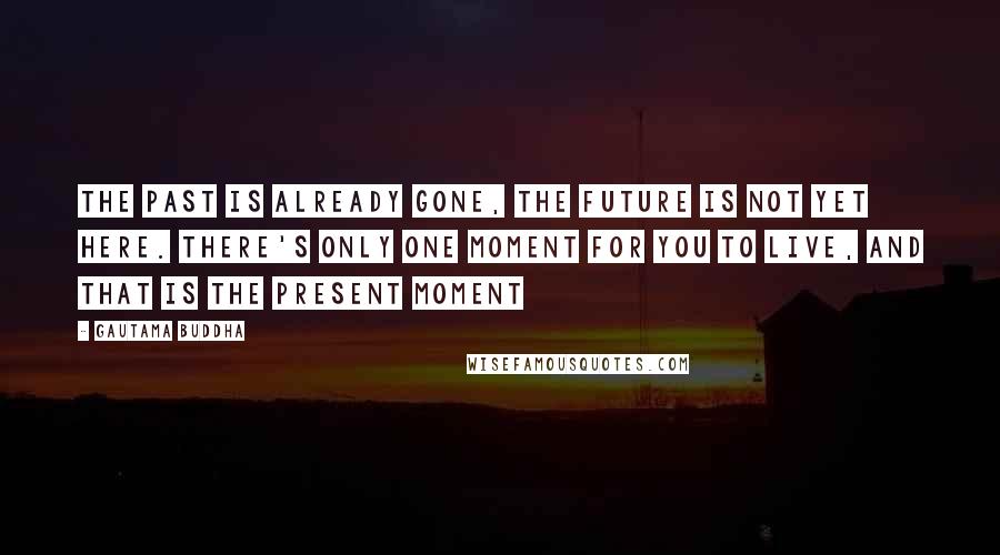 Gautama Buddha Quotes: The past is already gone, the future is not yet here. There's only one moment for you to live, and that is the present moment