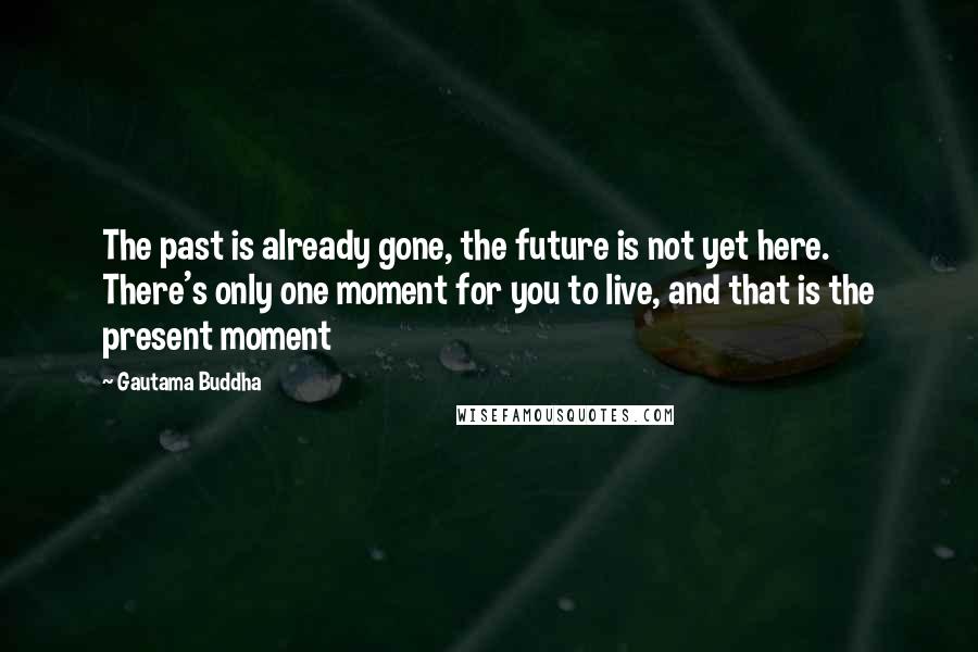 Gautama Buddha Quotes: The past is already gone, the future is not yet here. There's only one moment for you to live, and that is the present moment