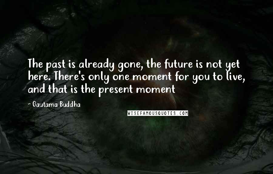 Gautama Buddha Quotes: The past is already gone, the future is not yet here. There's only one moment for you to live, and that is the present moment