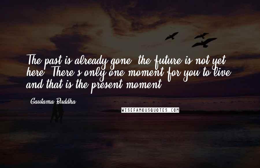 Gautama Buddha Quotes: The past is already gone, the future is not yet here. There's only one moment for you to live, and that is the present moment