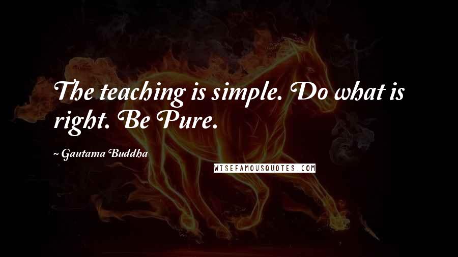 Gautama Buddha Quotes: The teaching is simple. Do what is right. Be Pure.