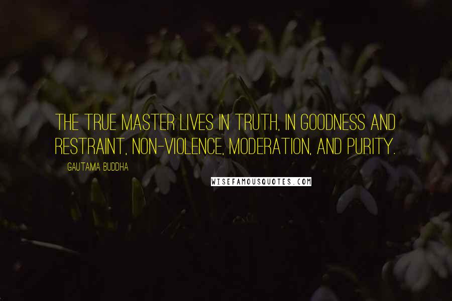 Gautama Buddha Quotes: The true master lives in truth, in goodness and restraint, non-violence, moderation, and purity.