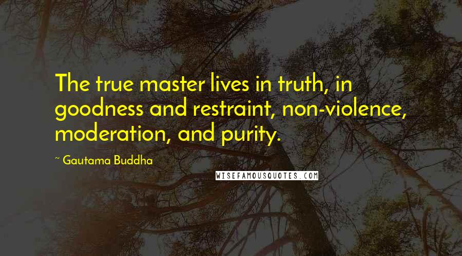 Gautama Buddha Quotes: The true master lives in truth, in goodness and restraint, non-violence, moderation, and purity.