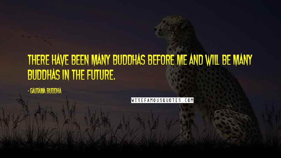 Gautama Buddha Quotes: There have been many Buddhas before me and will be many Buddhas in the future.