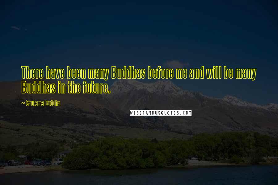 Gautama Buddha Quotes: There have been many Buddhas before me and will be many Buddhas in the future.