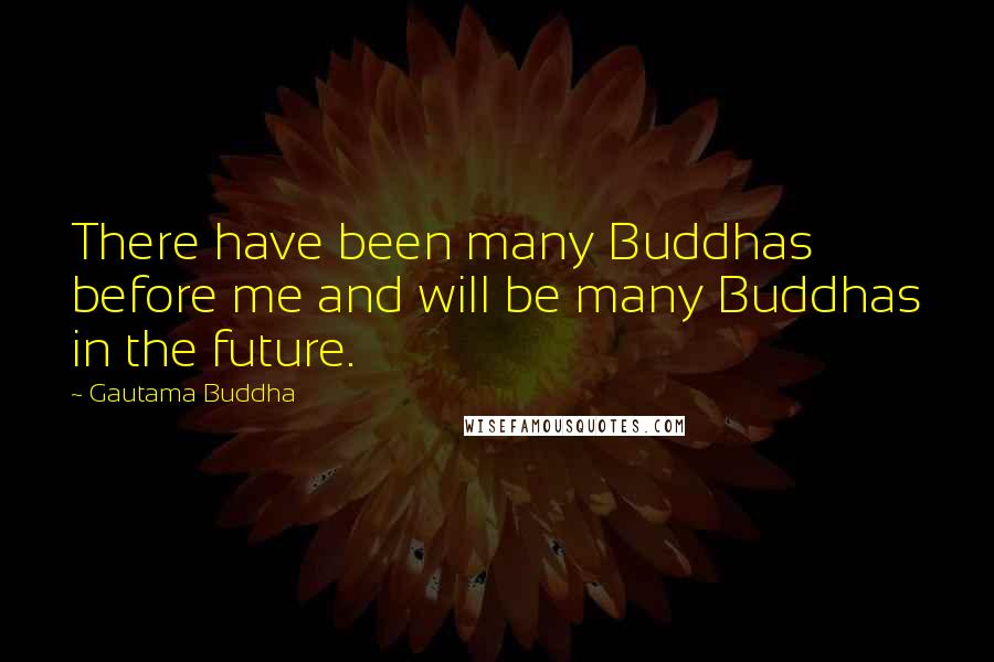Gautama Buddha Quotes: There have been many Buddhas before me and will be many Buddhas in the future.