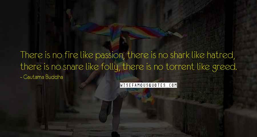 Gautama Buddha Quotes: There is no fire like passion, there is no shark like hatred, there is no snare like folly, there is no torrent like greed.
