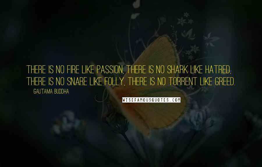 Gautama Buddha Quotes: There is no fire like passion, there is no shark like hatred, there is no snare like folly, there is no torrent like greed.