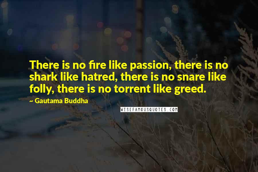 Gautama Buddha Quotes: There is no fire like passion, there is no shark like hatred, there is no snare like folly, there is no torrent like greed.