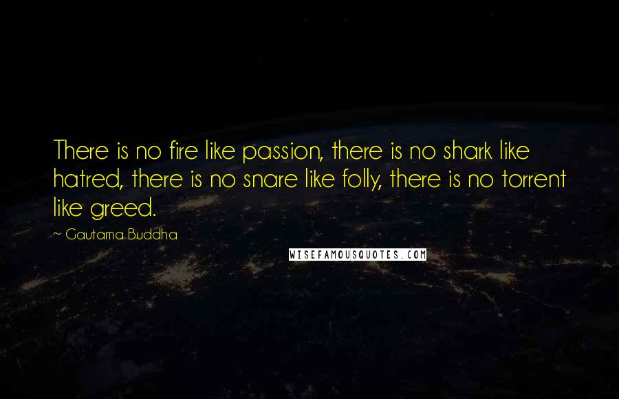 Gautama Buddha Quotes: There is no fire like passion, there is no shark like hatred, there is no snare like folly, there is no torrent like greed.