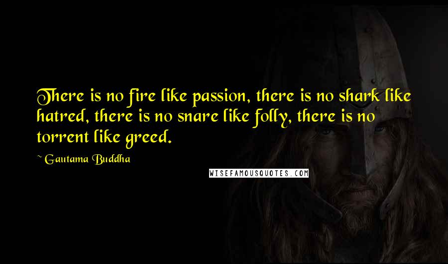 Gautama Buddha Quotes: There is no fire like passion, there is no shark like hatred, there is no snare like folly, there is no torrent like greed.