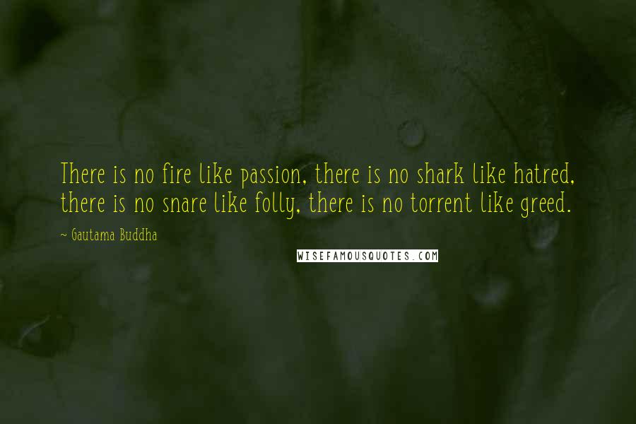 Gautama Buddha Quotes: There is no fire like passion, there is no shark like hatred, there is no snare like folly, there is no torrent like greed.