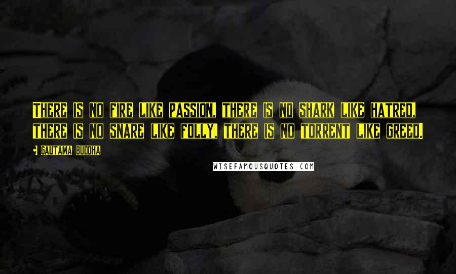 Gautama Buddha Quotes: There is no fire like passion, there is no shark like hatred, there is no snare like folly, there is no torrent like greed.