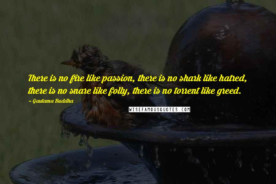 Gautama Buddha Quotes: There is no fire like passion, there is no shark like hatred, there is no snare like folly, there is no torrent like greed.