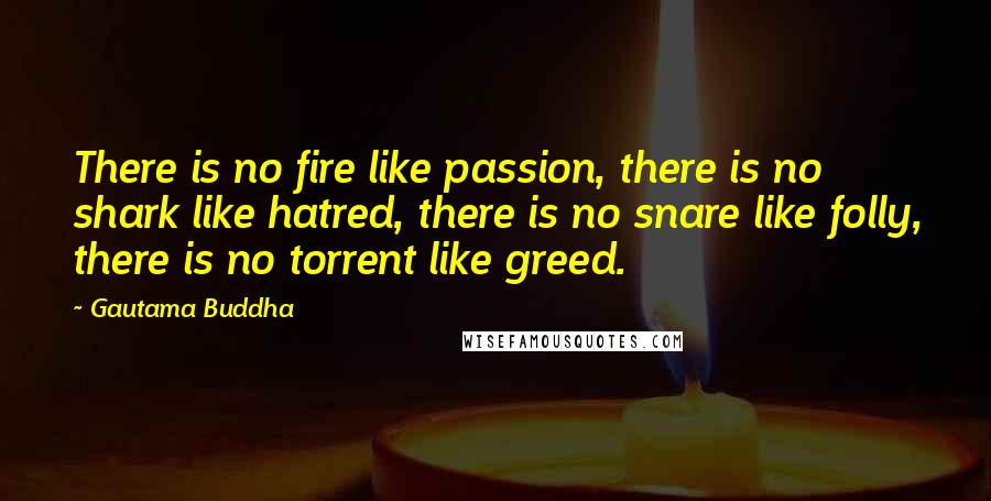 Gautama Buddha Quotes: There is no fire like passion, there is no shark like hatred, there is no snare like folly, there is no torrent like greed.