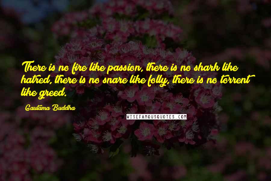 Gautama Buddha Quotes: There is no fire like passion, there is no shark like hatred, there is no snare like folly, there is no torrent like greed.