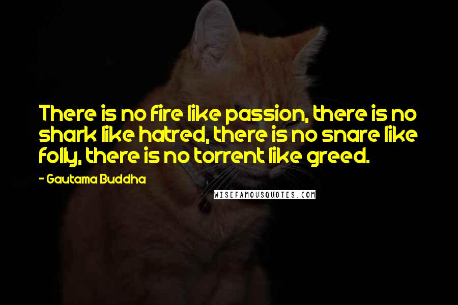 Gautama Buddha Quotes: There is no fire like passion, there is no shark like hatred, there is no snare like folly, there is no torrent like greed.