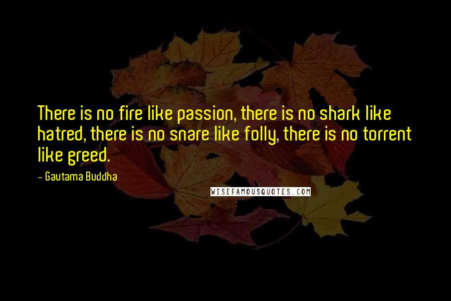 Gautama Buddha Quotes: There is no fire like passion, there is no shark like hatred, there is no snare like folly, there is no torrent like greed.