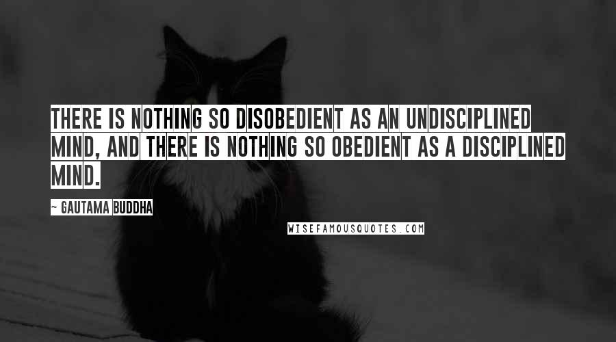 Gautama Buddha Quotes: There is nothing so disobedient as an undisciplined mind, and there is nothing so obedient as a disciplined mind.