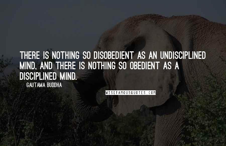 Gautama Buddha Quotes: There is nothing so disobedient as an undisciplined mind, and there is nothing so obedient as a disciplined mind.