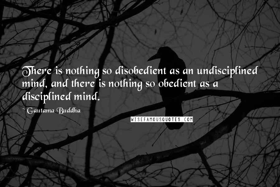 Gautama Buddha Quotes: There is nothing so disobedient as an undisciplined mind, and there is nothing so obedient as a disciplined mind.