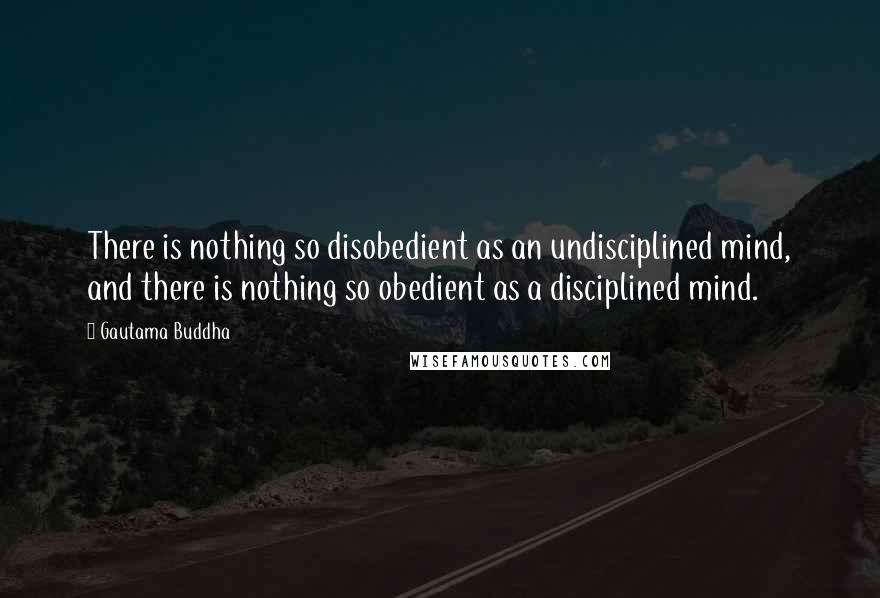 Gautama Buddha Quotes: There is nothing so disobedient as an undisciplined mind, and there is nothing so obedient as a disciplined mind.