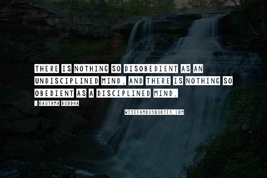 Gautama Buddha Quotes: There is nothing so disobedient as an undisciplined mind, and there is nothing so obedient as a disciplined mind.