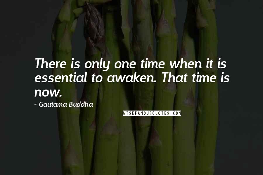 Gautama Buddha Quotes: There is only one time when it is essential to awaken. That time is now.