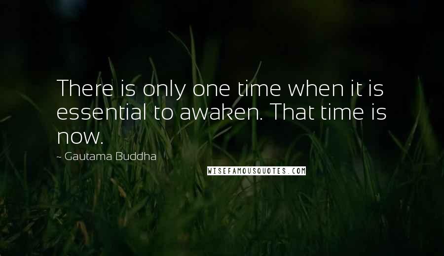 Gautama Buddha Quotes: There is only one time when it is essential to awaken. That time is now.