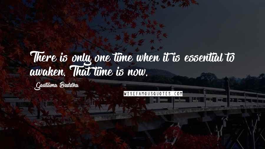 Gautama Buddha Quotes: There is only one time when it is essential to awaken. That time is now.