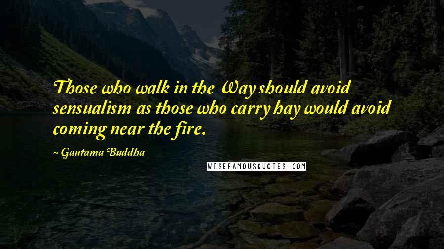Gautama Buddha Quotes: Those who walk in the Way should avoid sensualism as those who carry hay would avoid coming near the fire.