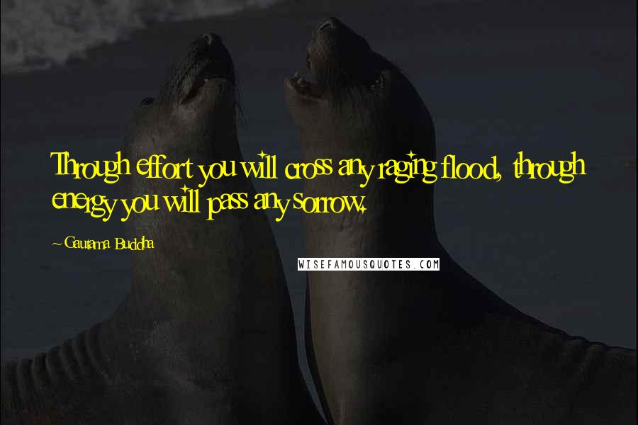Gautama Buddha Quotes: Through effort you will cross any raging flood, through energy you will pass any sorrow.
