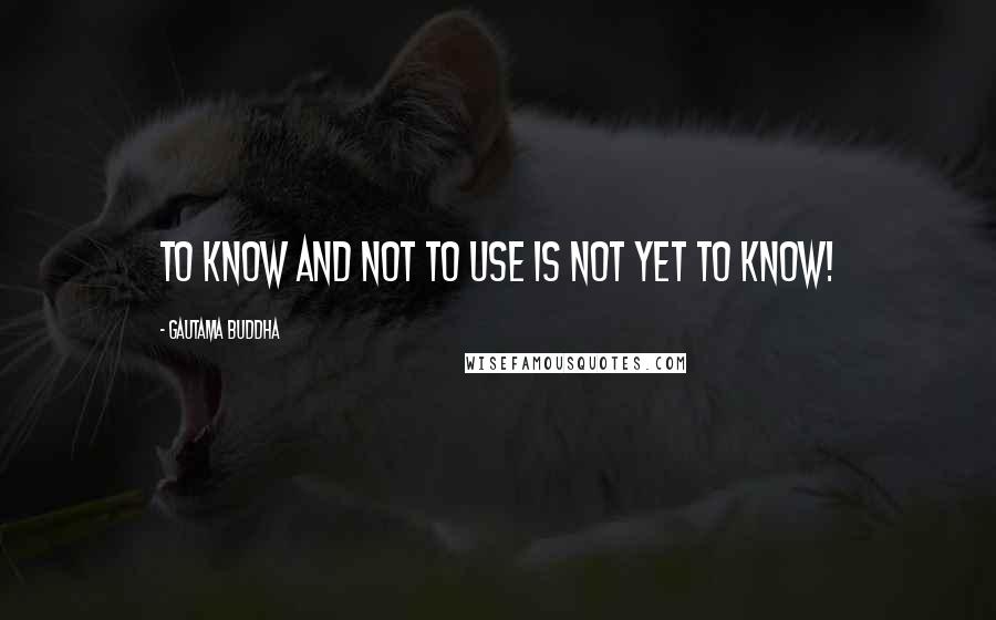Gautama Buddha Quotes: To know and not to use is not yet to know!