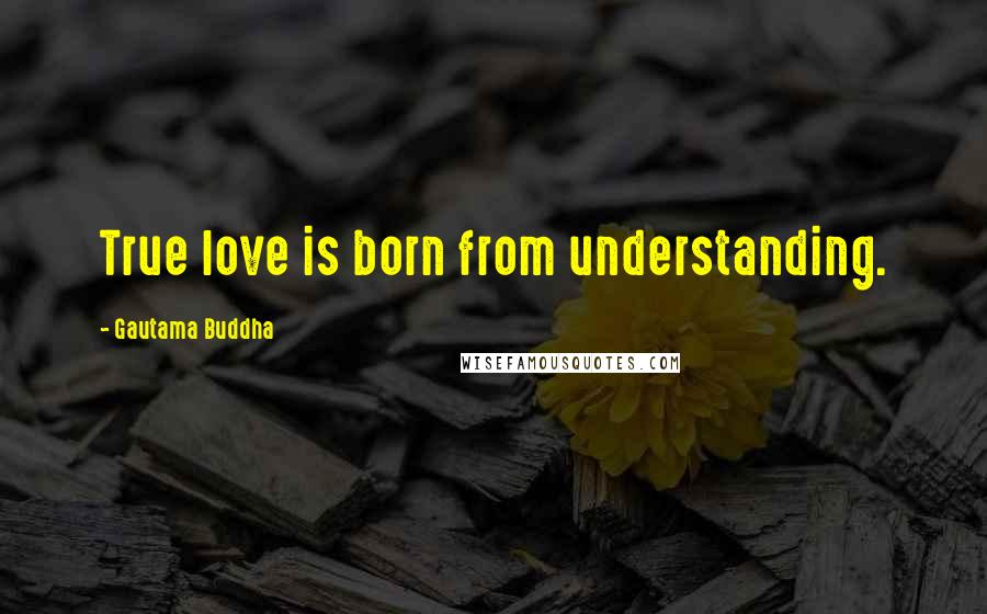 Gautama Buddha Quotes: True love is born from understanding.