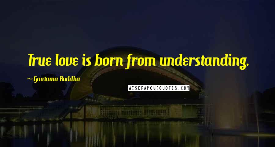 Gautama Buddha Quotes: True love is born from understanding.