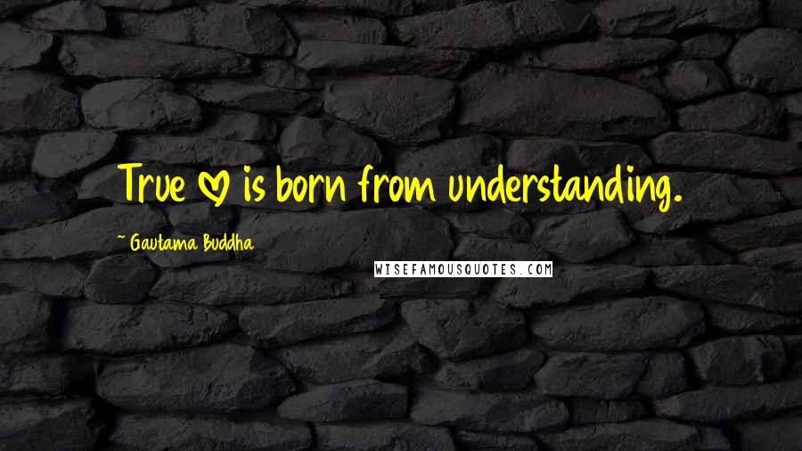 Gautama Buddha Quotes: True love is born from understanding.