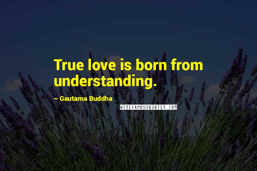 Gautama Buddha Quotes: True love is born from understanding.