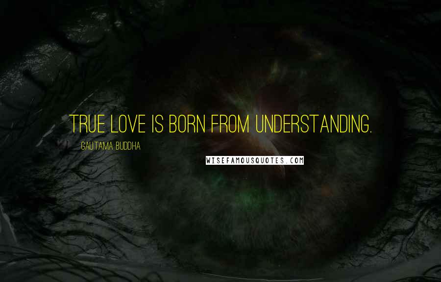 Gautama Buddha Quotes: True love is born from understanding.