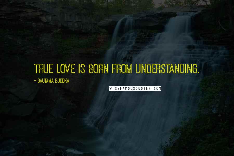 Gautama Buddha Quotes: True love is born from understanding.