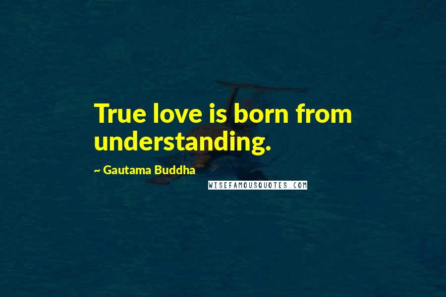 Gautama Buddha Quotes: True love is born from understanding.