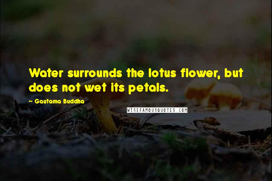 Gautama Buddha Quotes: Water surrounds the lotus flower, but does not wet its petals.