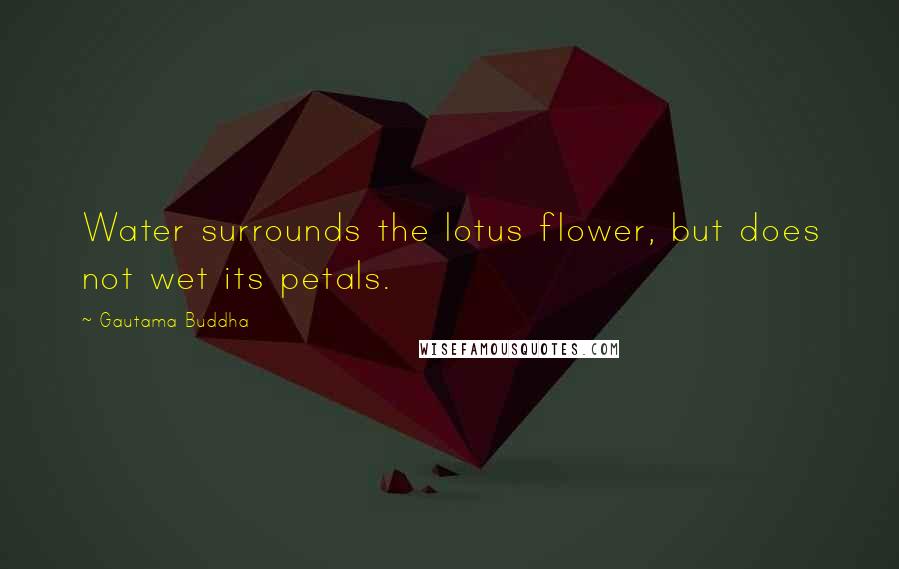 Gautama Buddha Quotes: Water surrounds the lotus flower, but does not wet its petals.