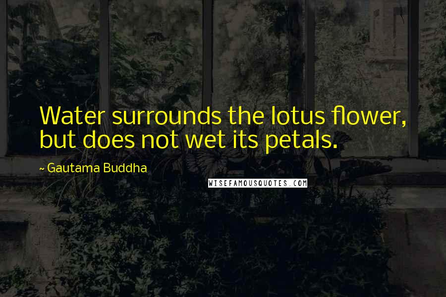 Gautama Buddha Quotes: Water surrounds the lotus flower, but does not wet its petals.