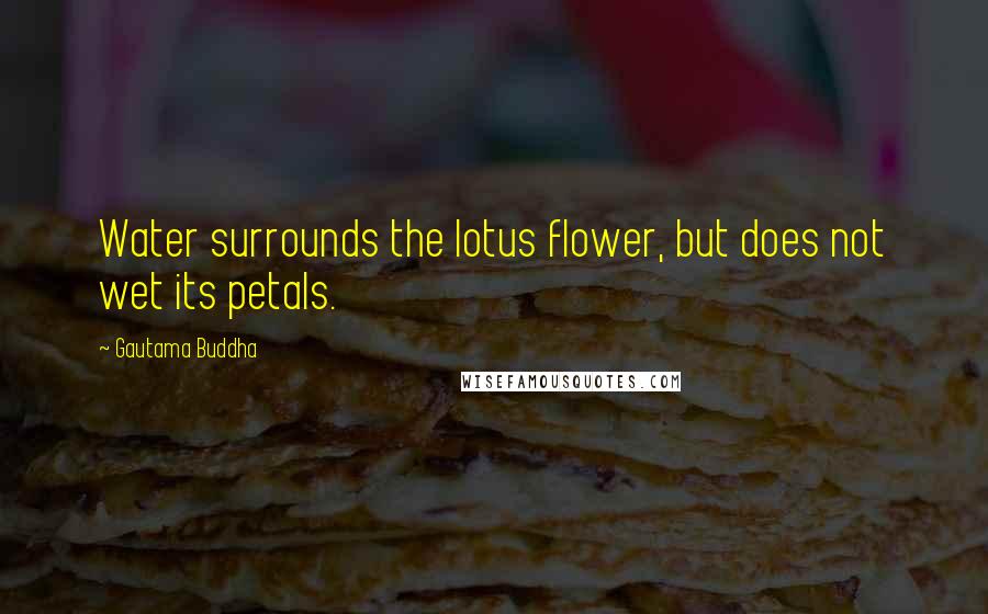 Gautama Buddha Quotes: Water surrounds the lotus flower, but does not wet its petals.