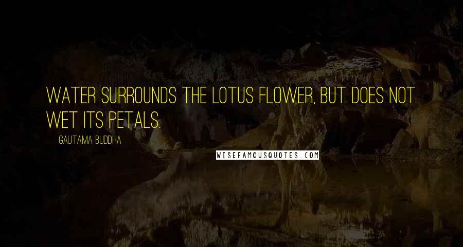 Gautama Buddha Quotes: Water surrounds the lotus flower, but does not wet its petals.