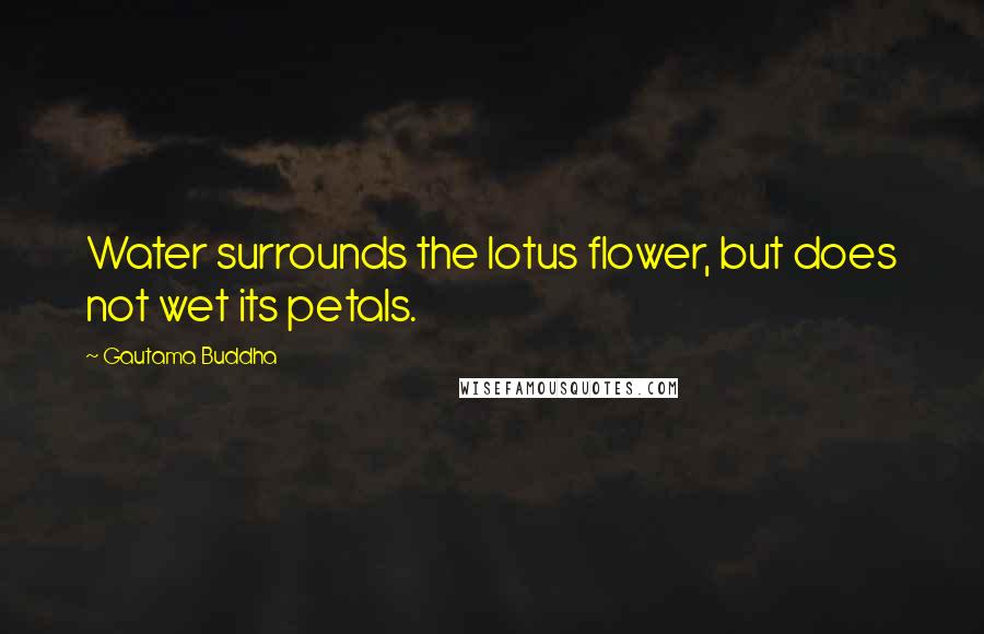 Gautama Buddha Quotes: Water surrounds the lotus flower, but does not wet its petals.