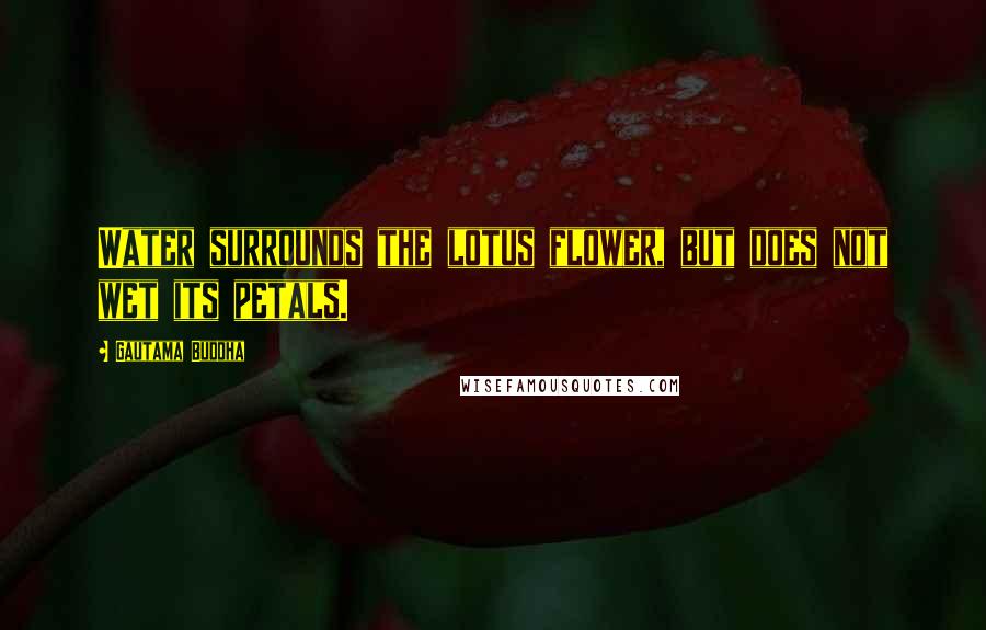 Gautama Buddha Quotes: Water surrounds the lotus flower, but does not wet its petals.