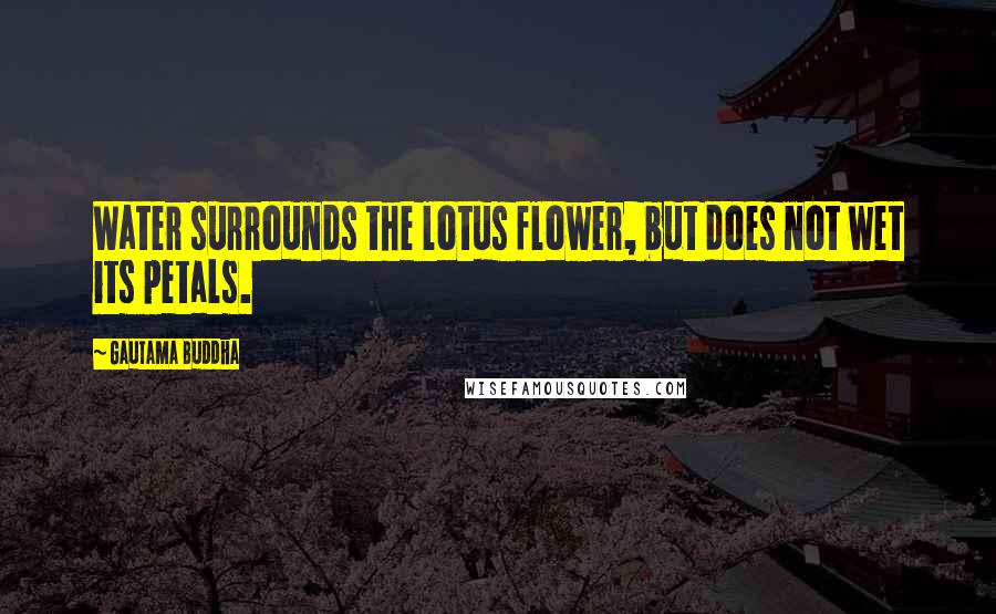 Gautama Buddha Quotes: Water surrounds the lotus flower, but does not wet its petals.